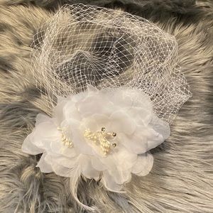 Bird Cage Veil with feathers flowers & Rhinestones